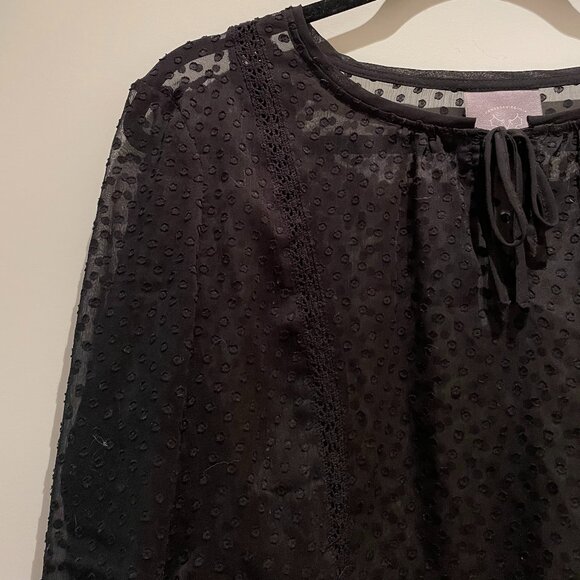 Anthropologie Vanessa Virginia Black Sheer Blouse - Picture 5 of 10